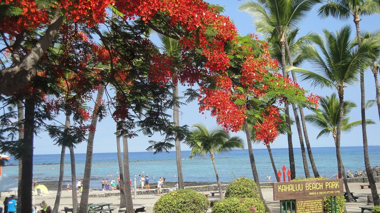 Photo of Others in Kahaluu Bay