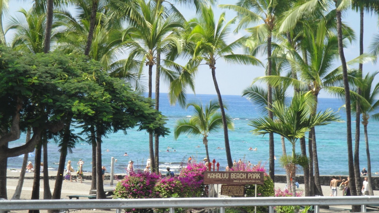 Photo of Others in Kahaluu Bay