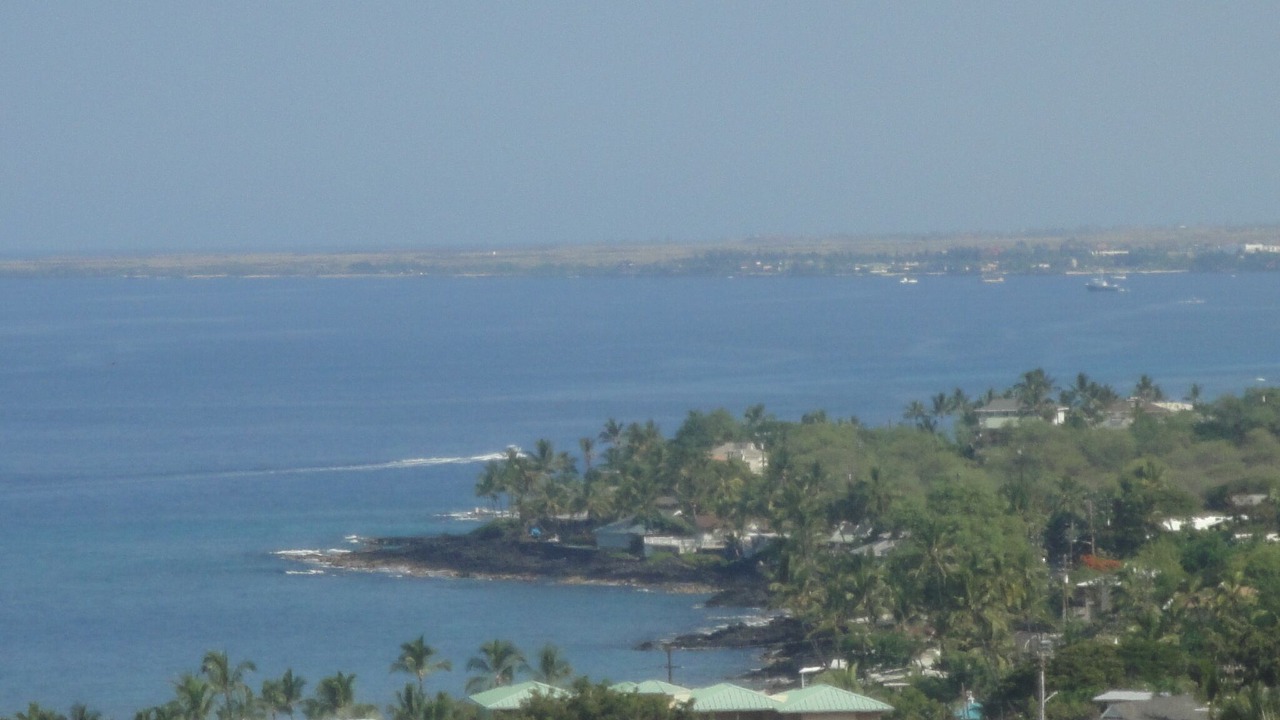 Photo of Others in Kahaluu Bay