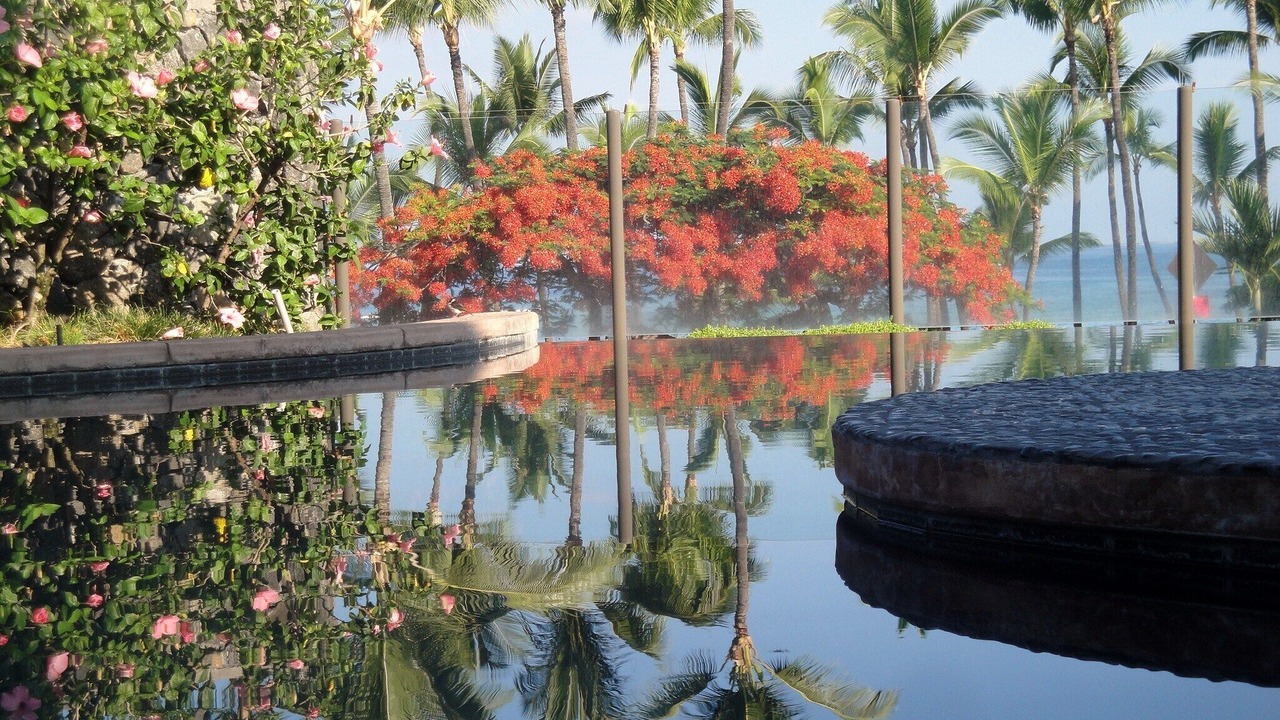 Photo of Outdoor in Kahaluu Bay