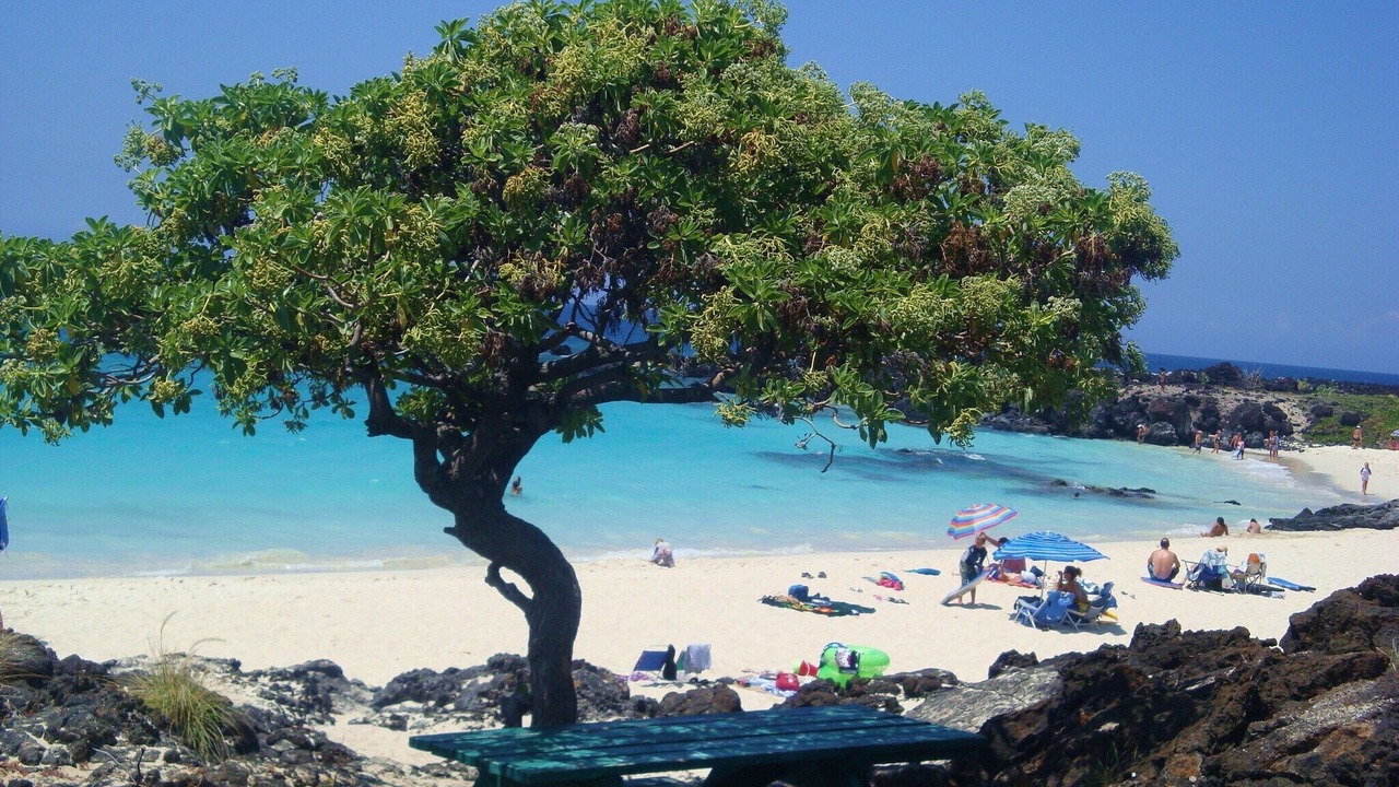 Photo of Others in Kahaluu Bay