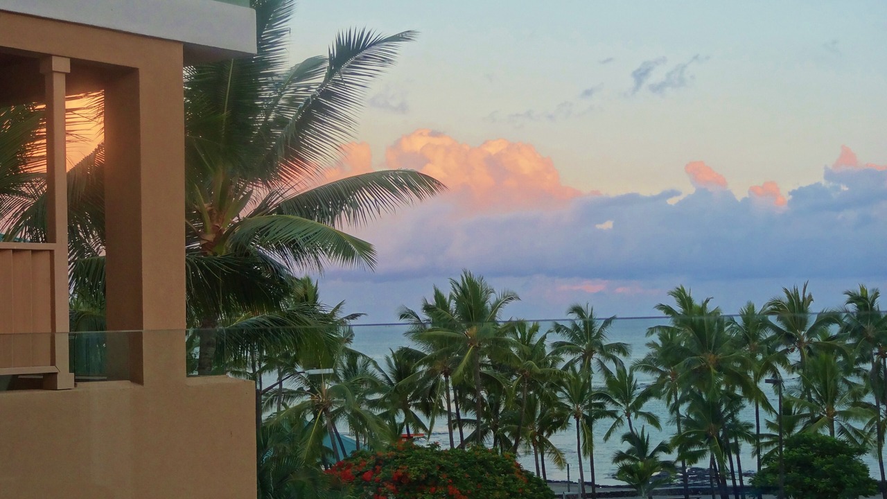 Photo of Others in Kahaluu Bay
