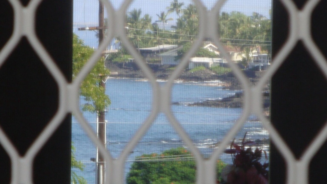 Photo of Others in Kahaluu Bay