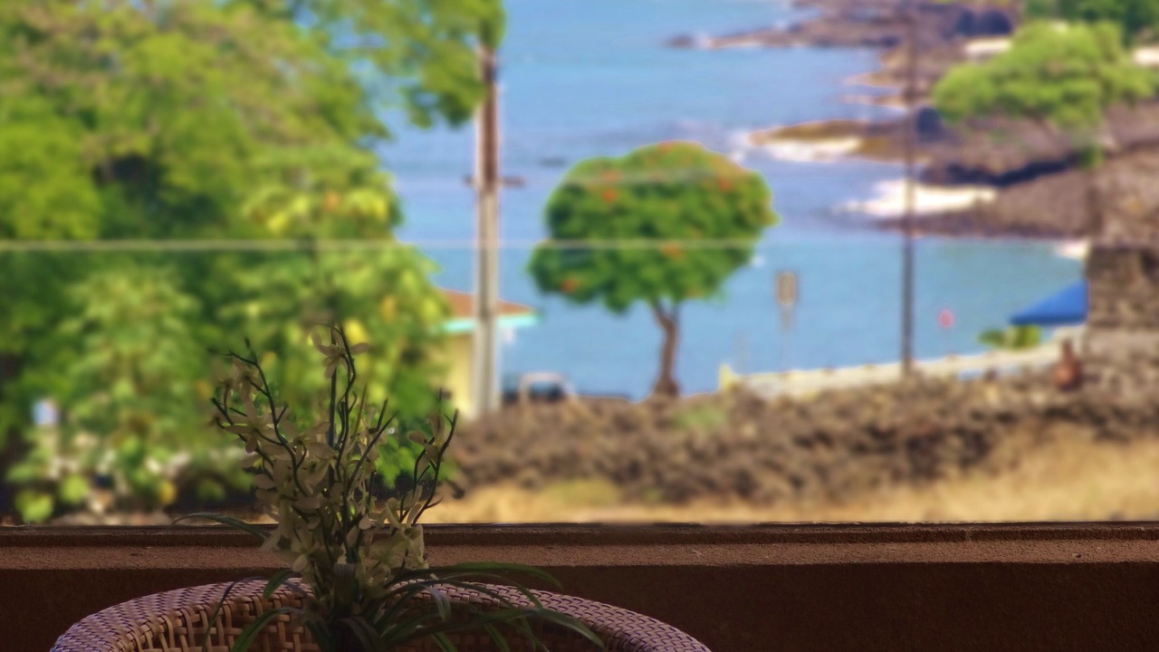 Photo of Others in Kahaluu Bay