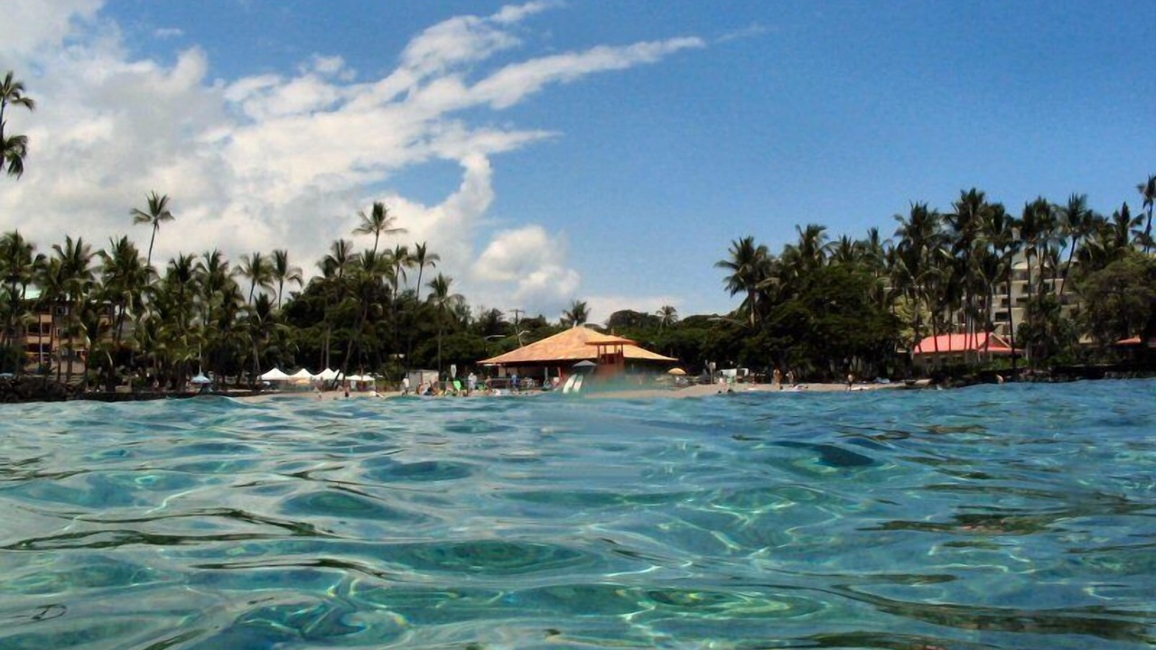 Photo of Others in Kahaluu Bay
