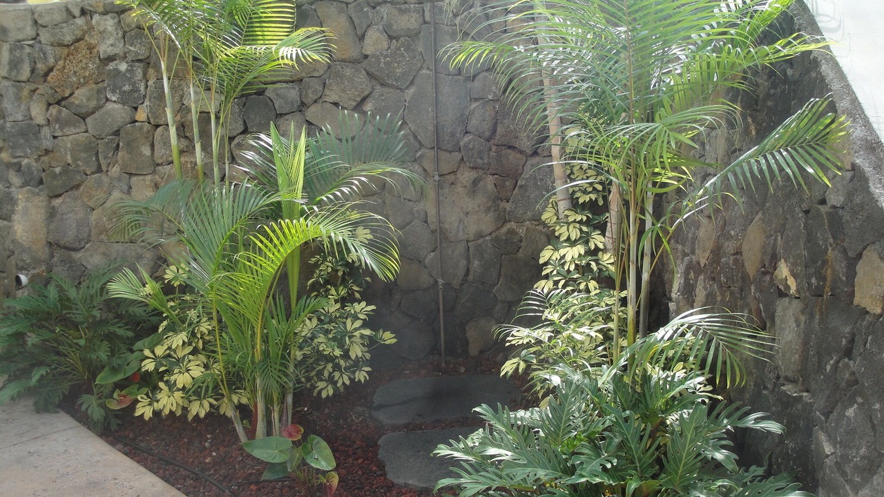Photo of Outdoor in Kahaluu Bay