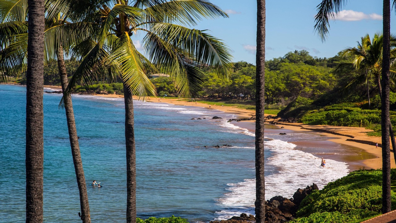 Photo of Others in Wailea