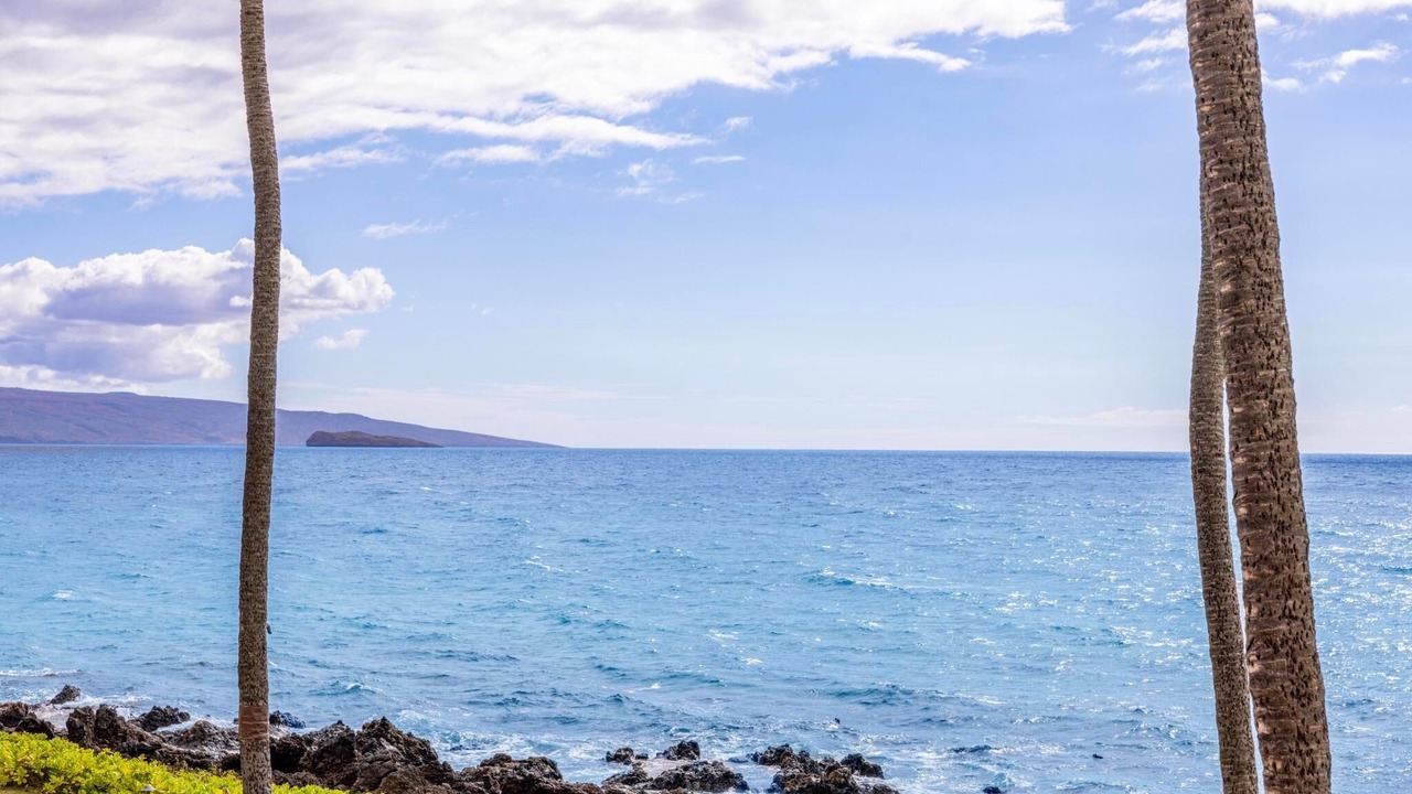 Photo of Others in Wailea