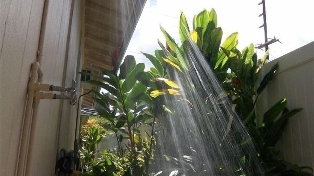 Photo of Outdoor in Hauula