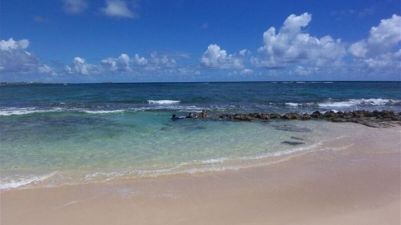 Photo of Others in Hauula