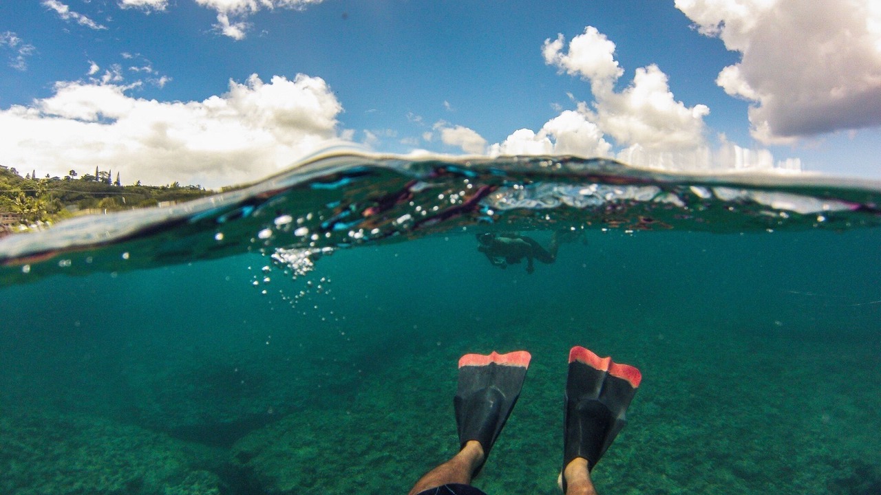 Photo of Others in Hauula