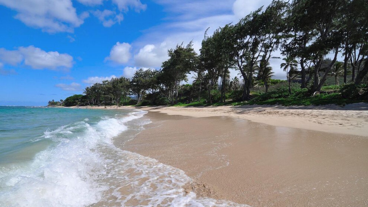Photo of Others in Hauula