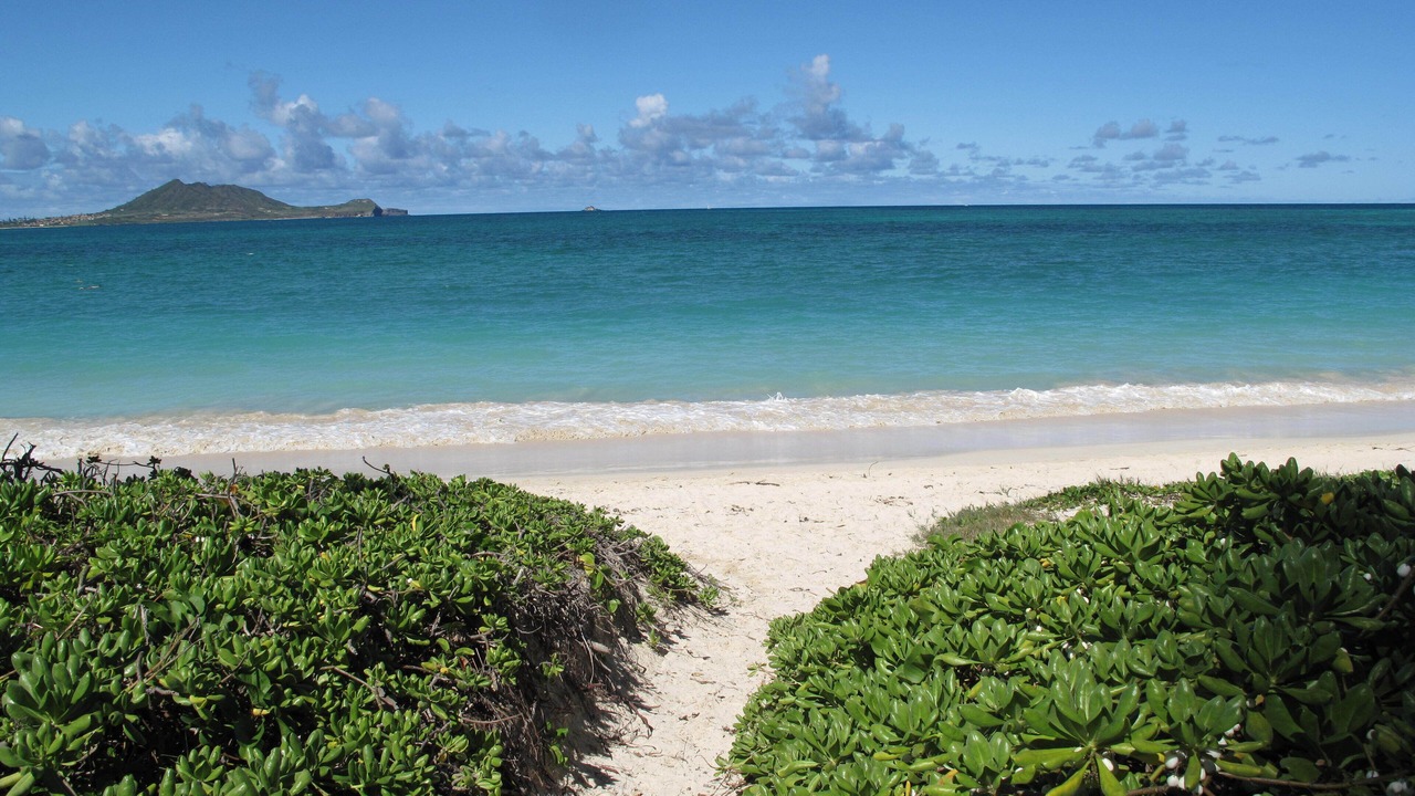 Photo of Others in Kailua
