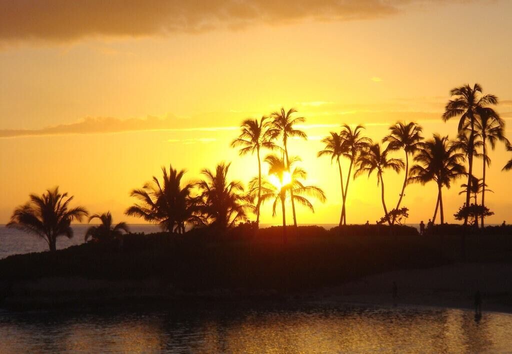 Photo of Others in Ko Olina