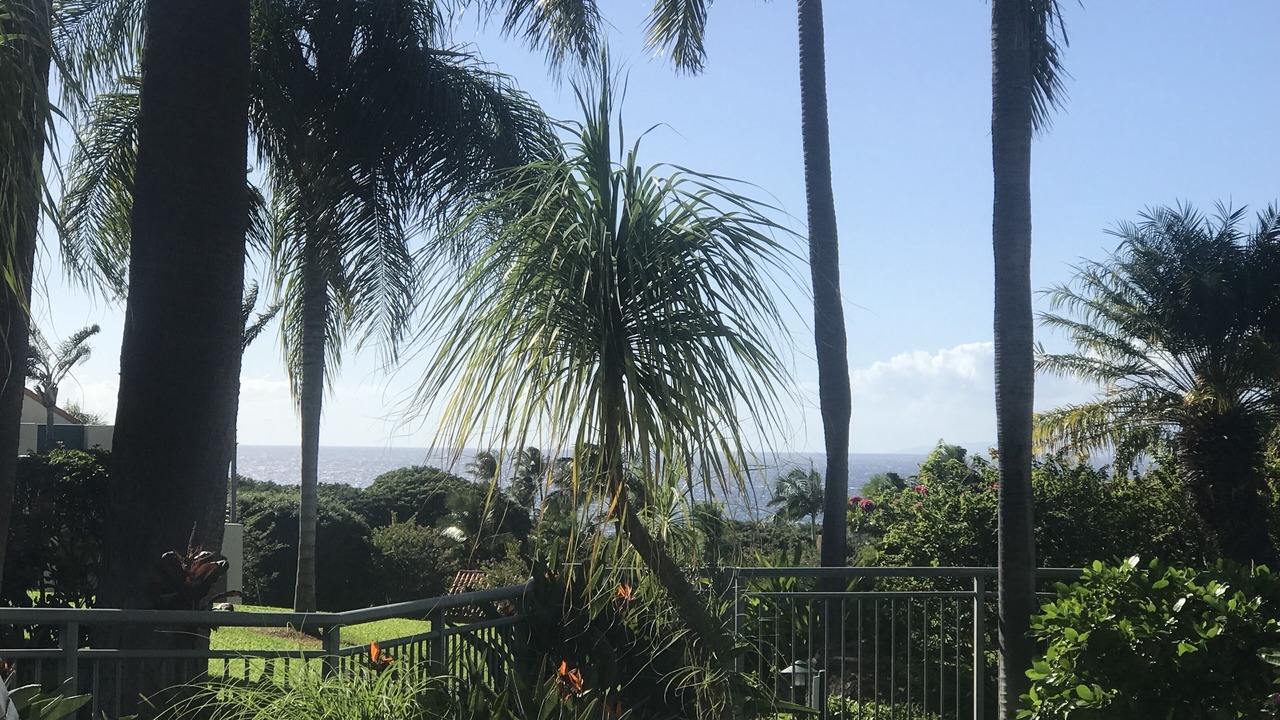 Photo of Outdoor in Wailea