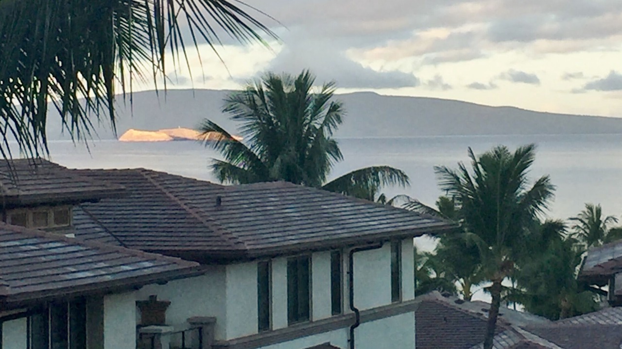 Photo of Others in Wailea