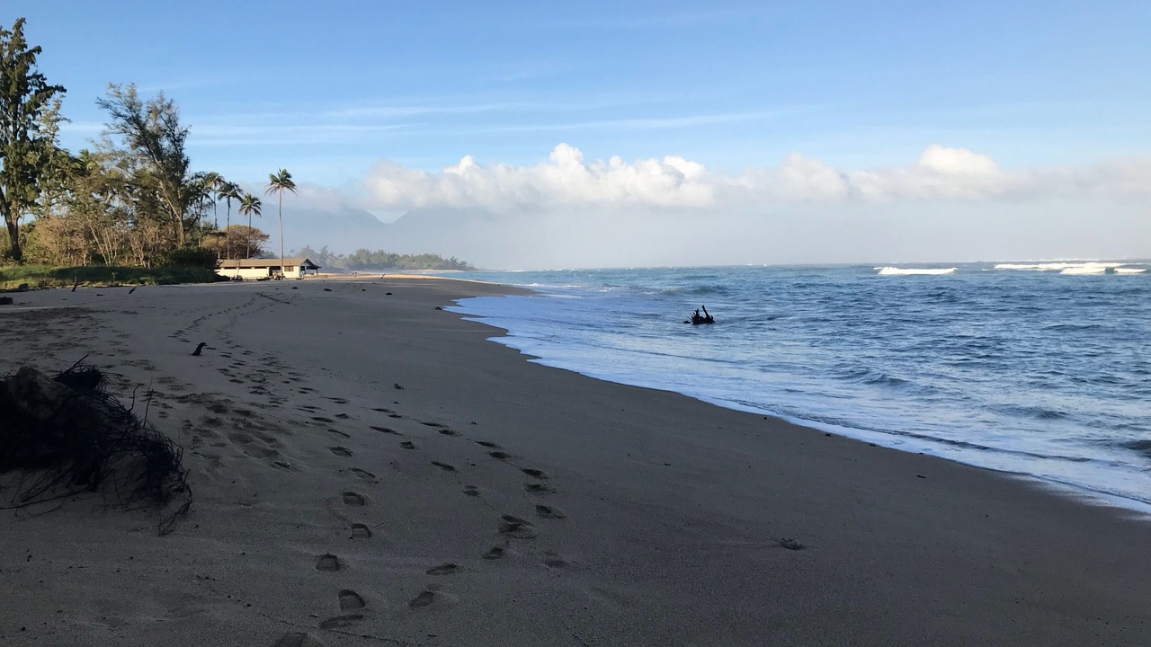 Photo of Others in Paia
