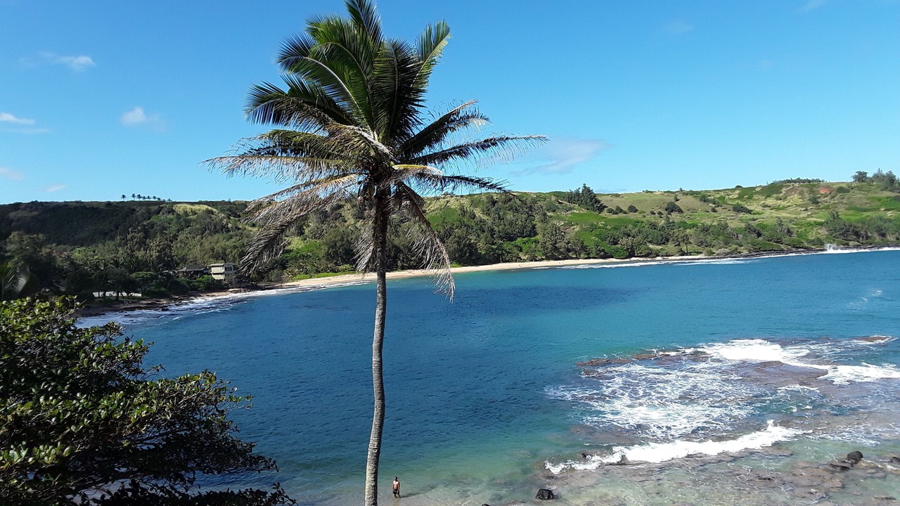 Photo of Others in Kilauea