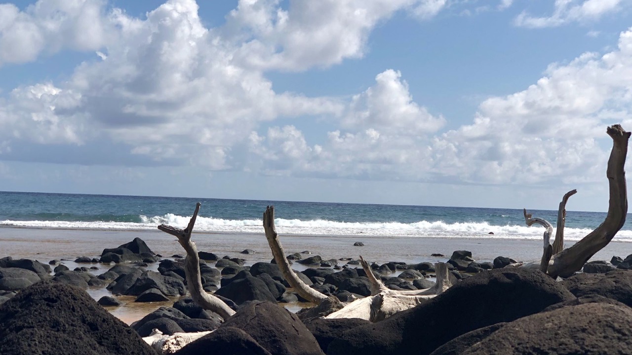 Photo of Others in Kilauea