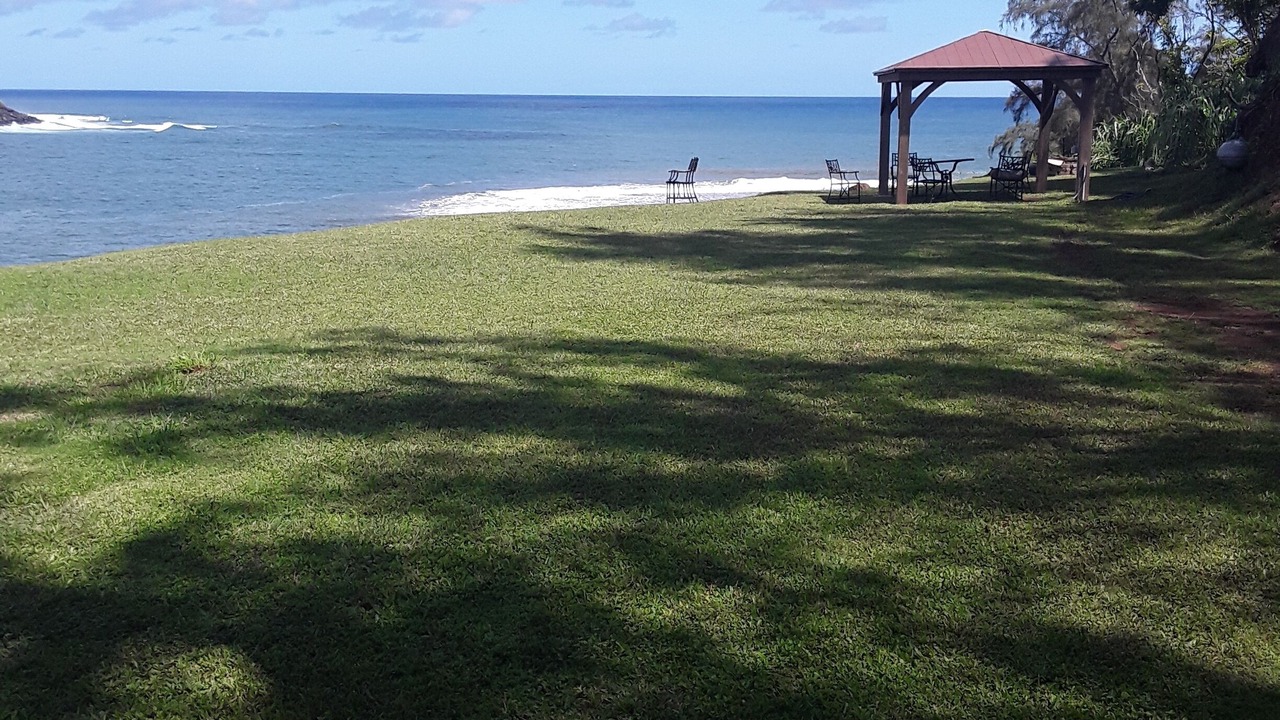 Photo of Outdoor in Kilauea