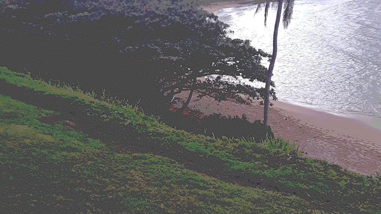 Photo of Others in Kilauea