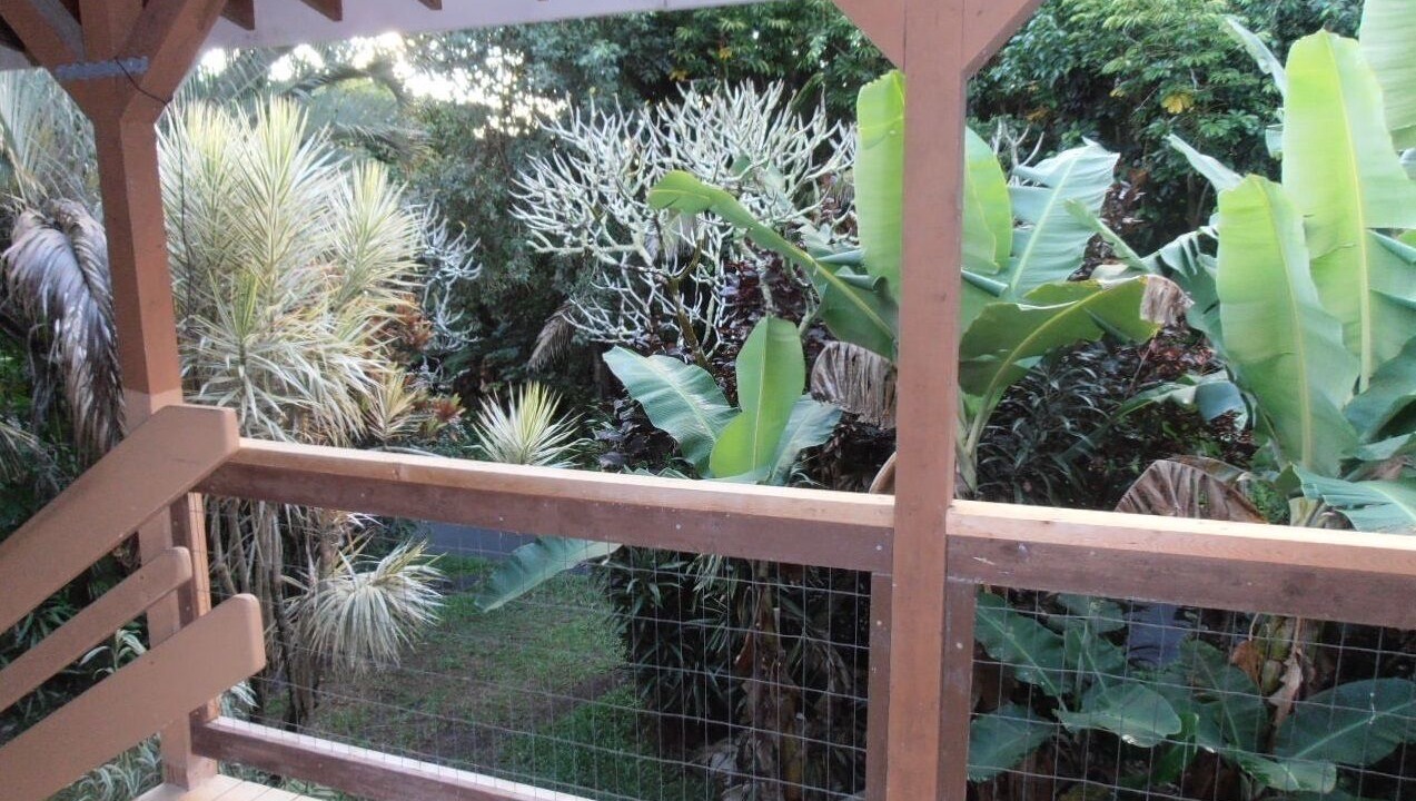Photo of Outdoor in Kehena