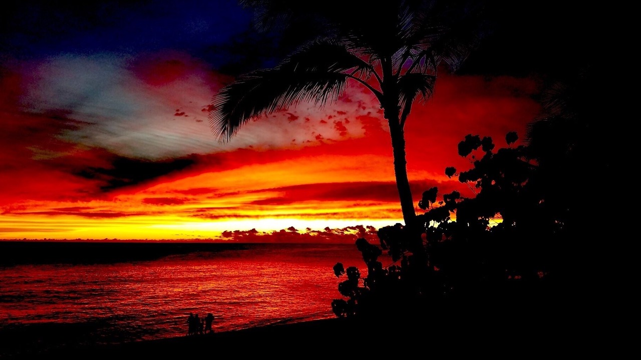 Photo of Others in Makaha