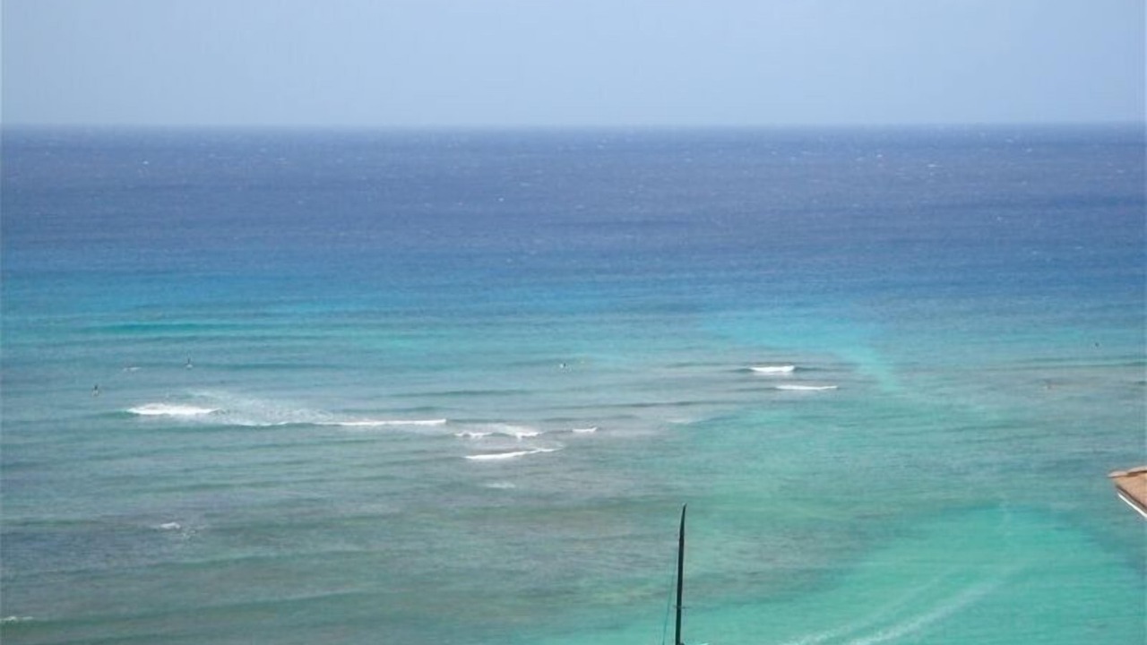 Photo of Others in Waikiki