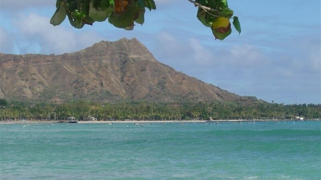Photo of Others in Waikiki