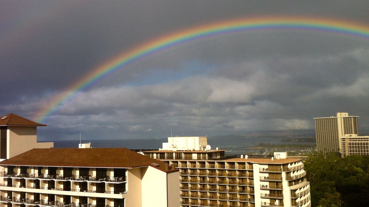 Photo of Others in Waikiki