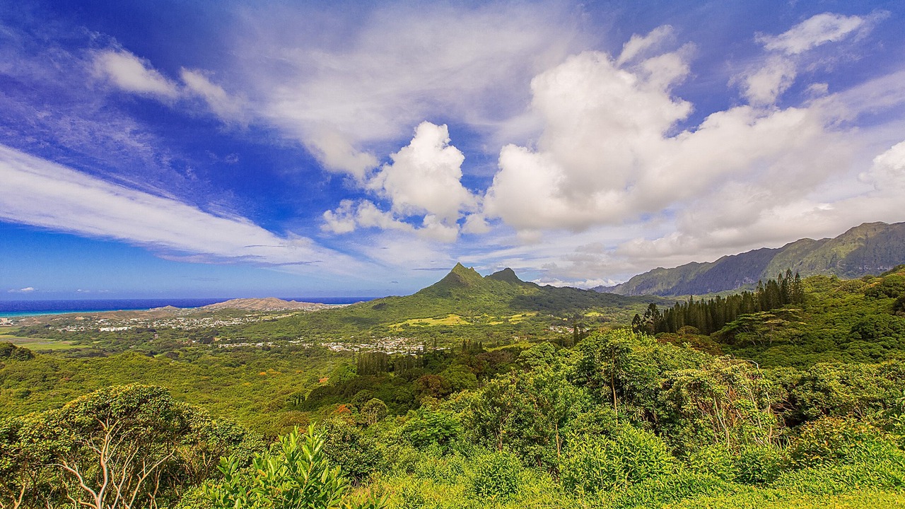 Photo of Others in Lanikai