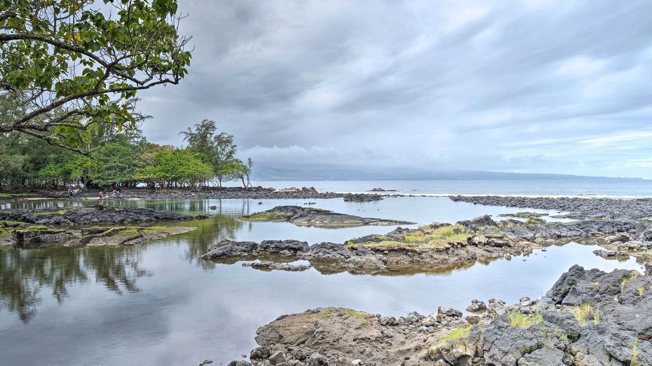 Photo of Others in Hilo