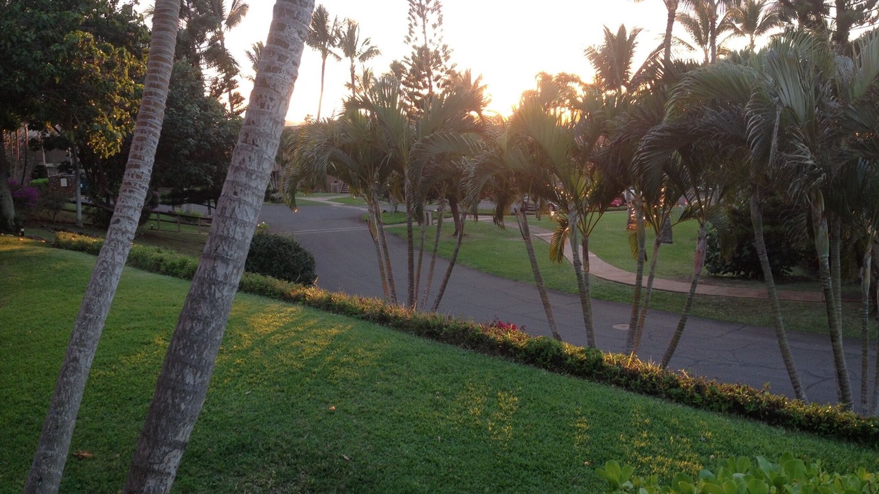 Photo of Outdoor in Maunaloa