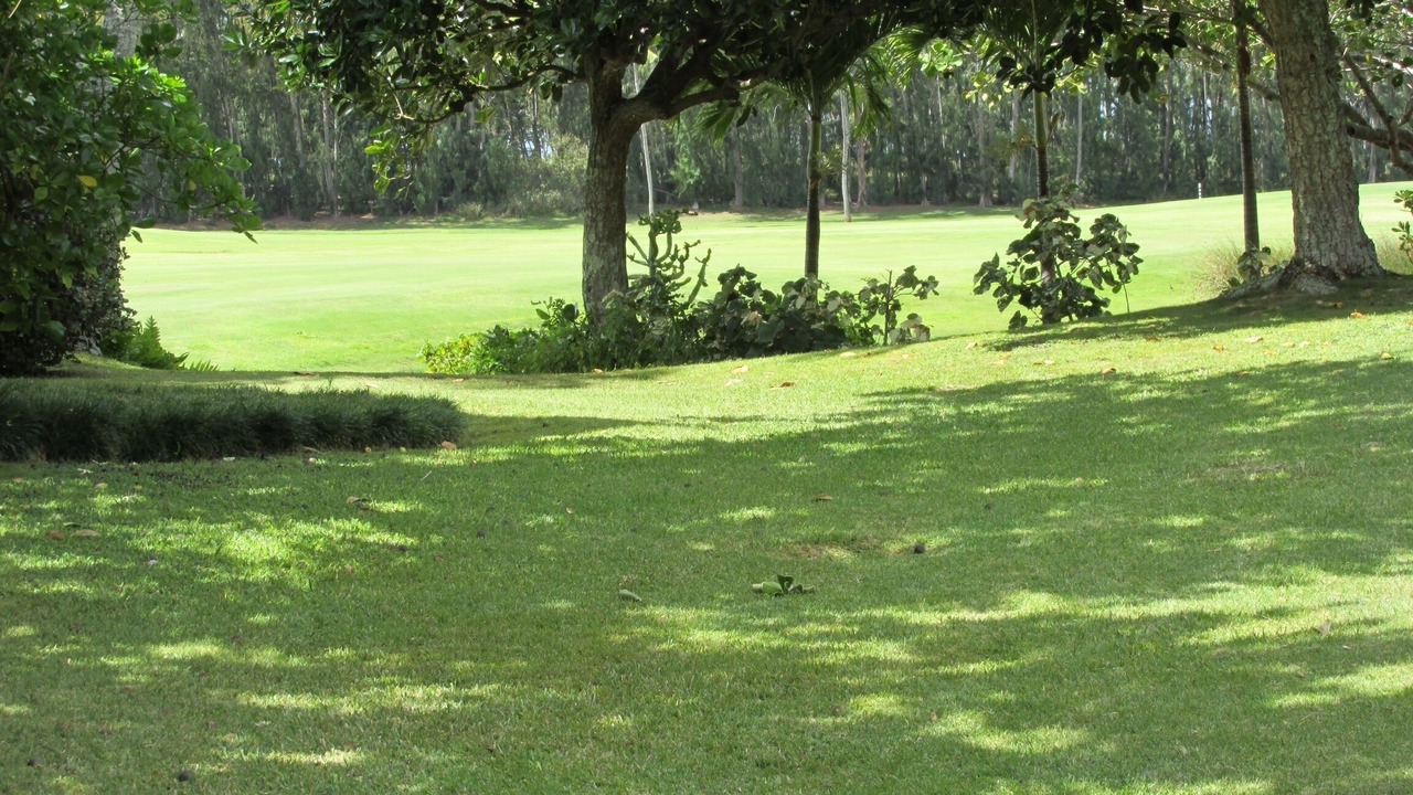 Photo of Others in Kahuku