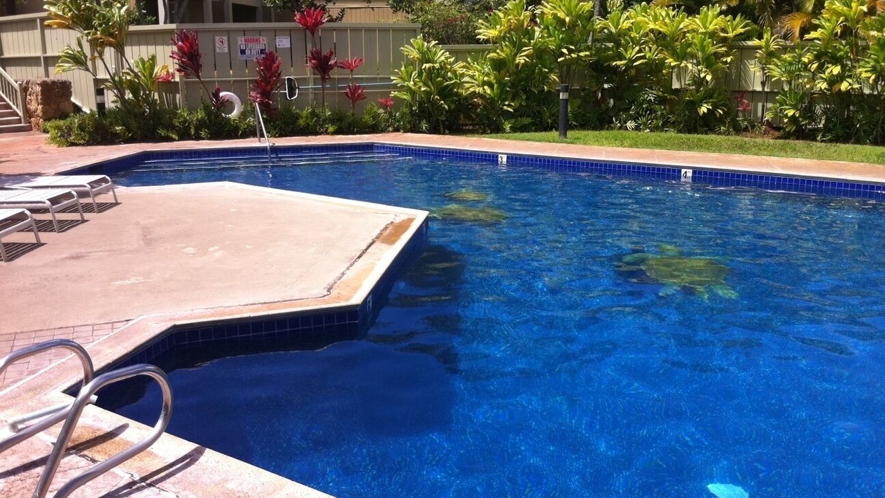 Photo of Outdoor in Kahuku