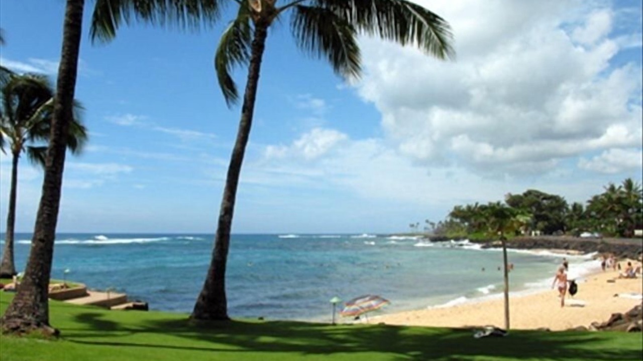Photo of Others in Poipu