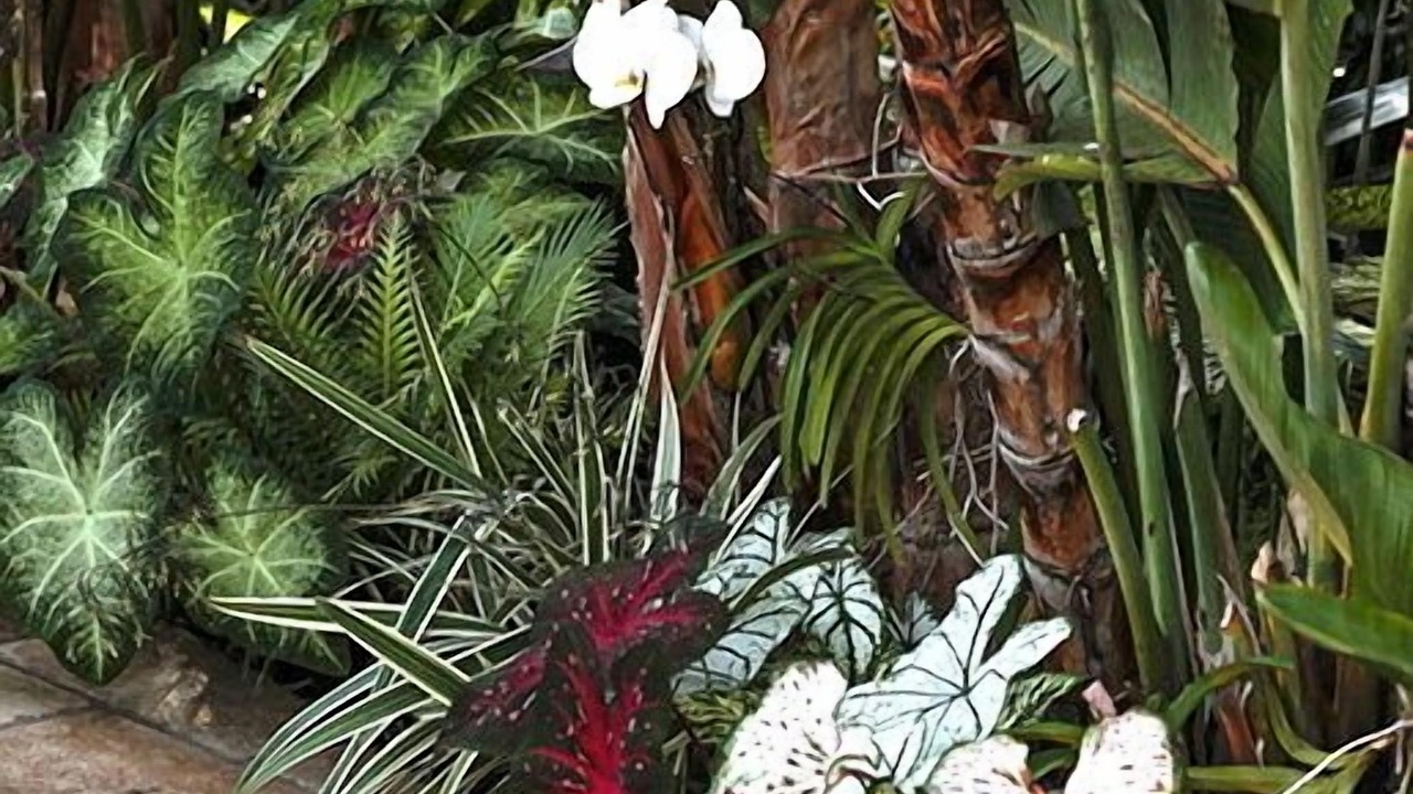 Photo of Outdoor in Kihei