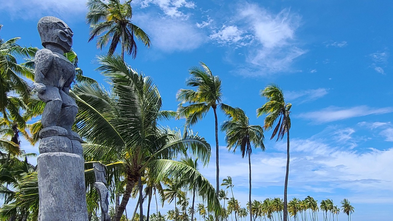 Photo of Outdoor in Honaunau-Napoopoo