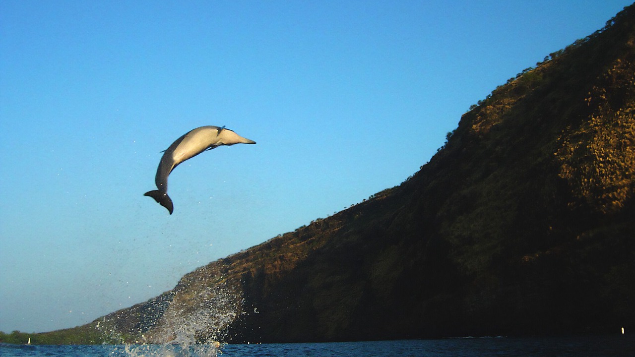 Photo of Outdoor in Honaunau-Napoopoo