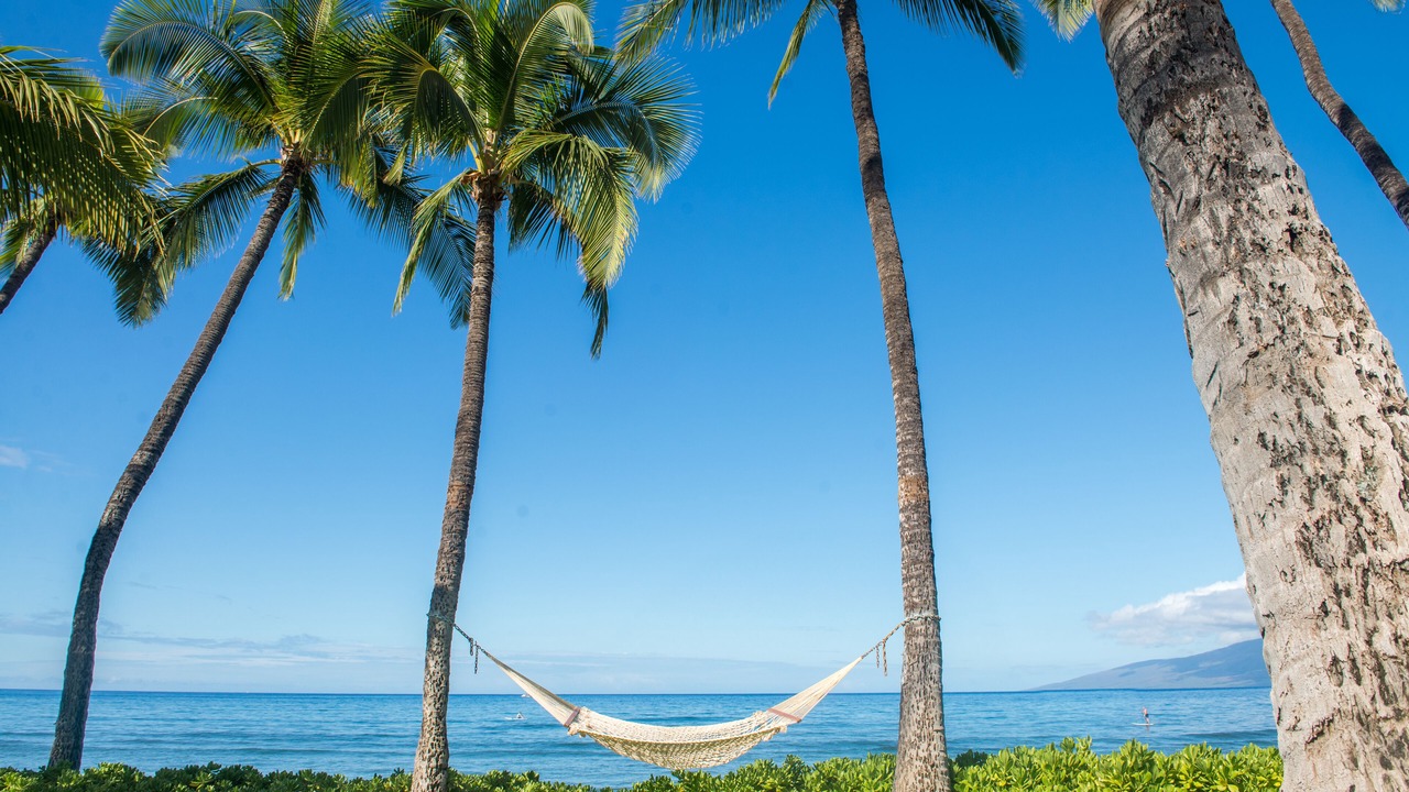 Photo of Others in Downtown Lahaina