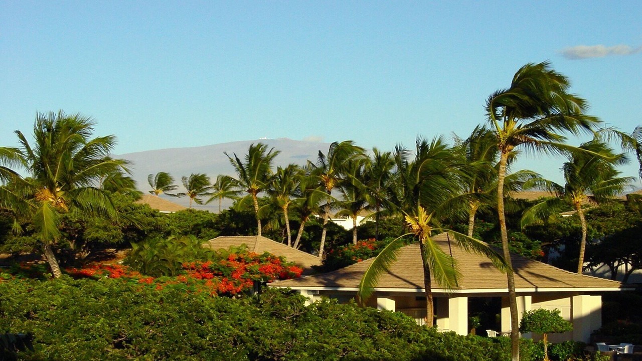 Photo of Others in Waikoloa