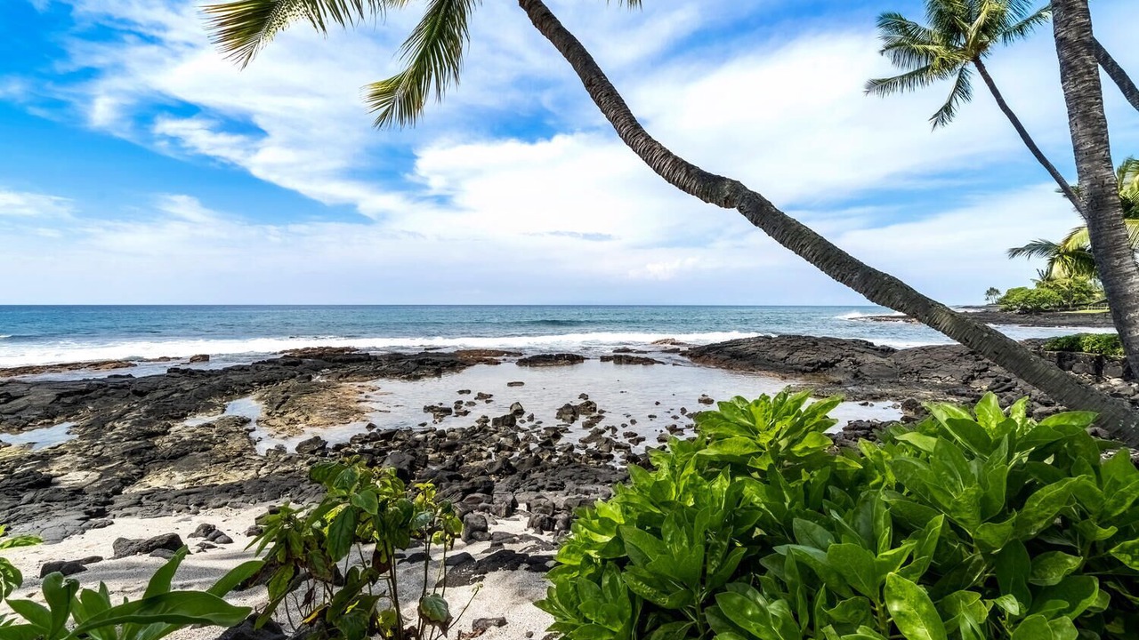 Photo of Others in Kailua-Kona