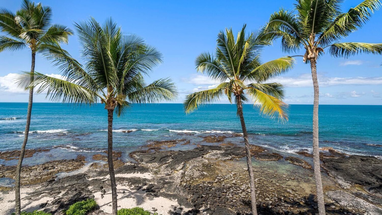 Photo of Others in Kailua-Kona