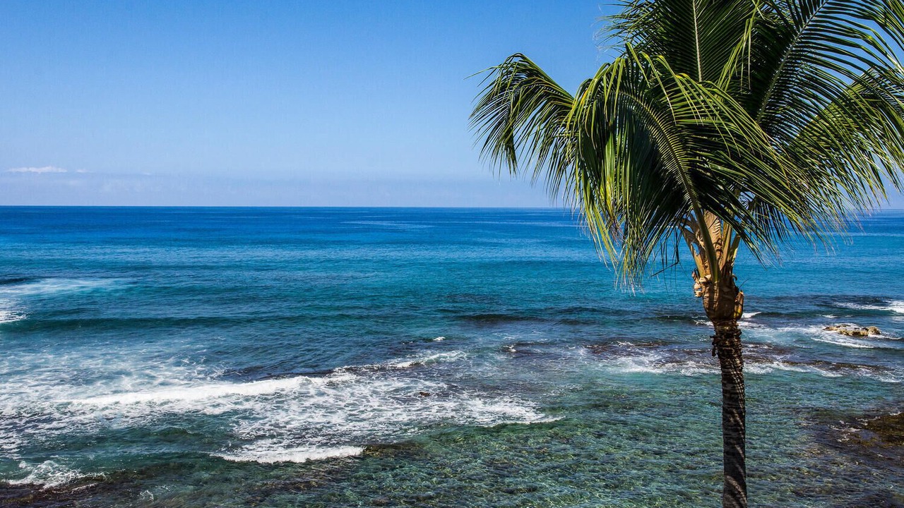 Photo of Others in Kailua-Kona