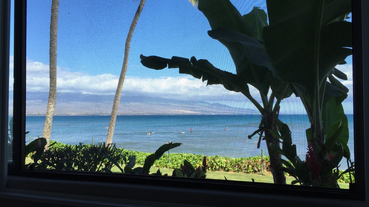 Photo of Others in Maalaea