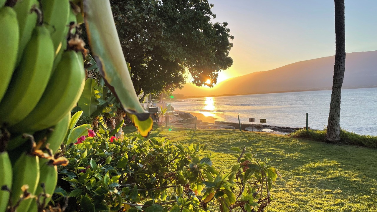 Photo of Outdoor in Maalaea