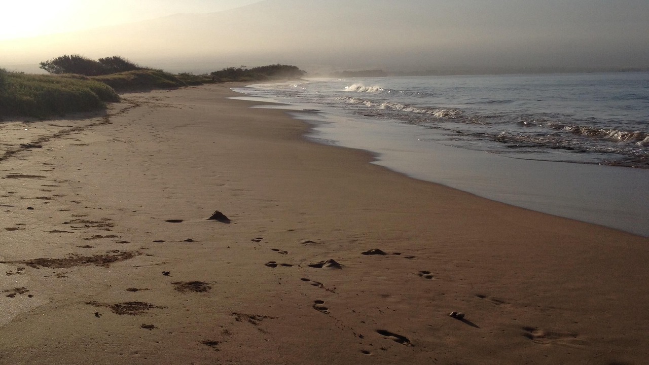 Photo of Others in Maalaea