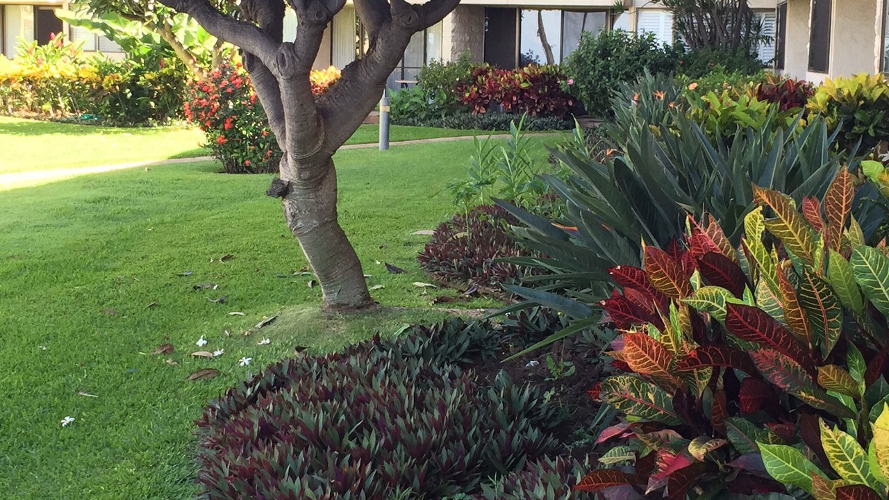 Photo of Others in Maalaea