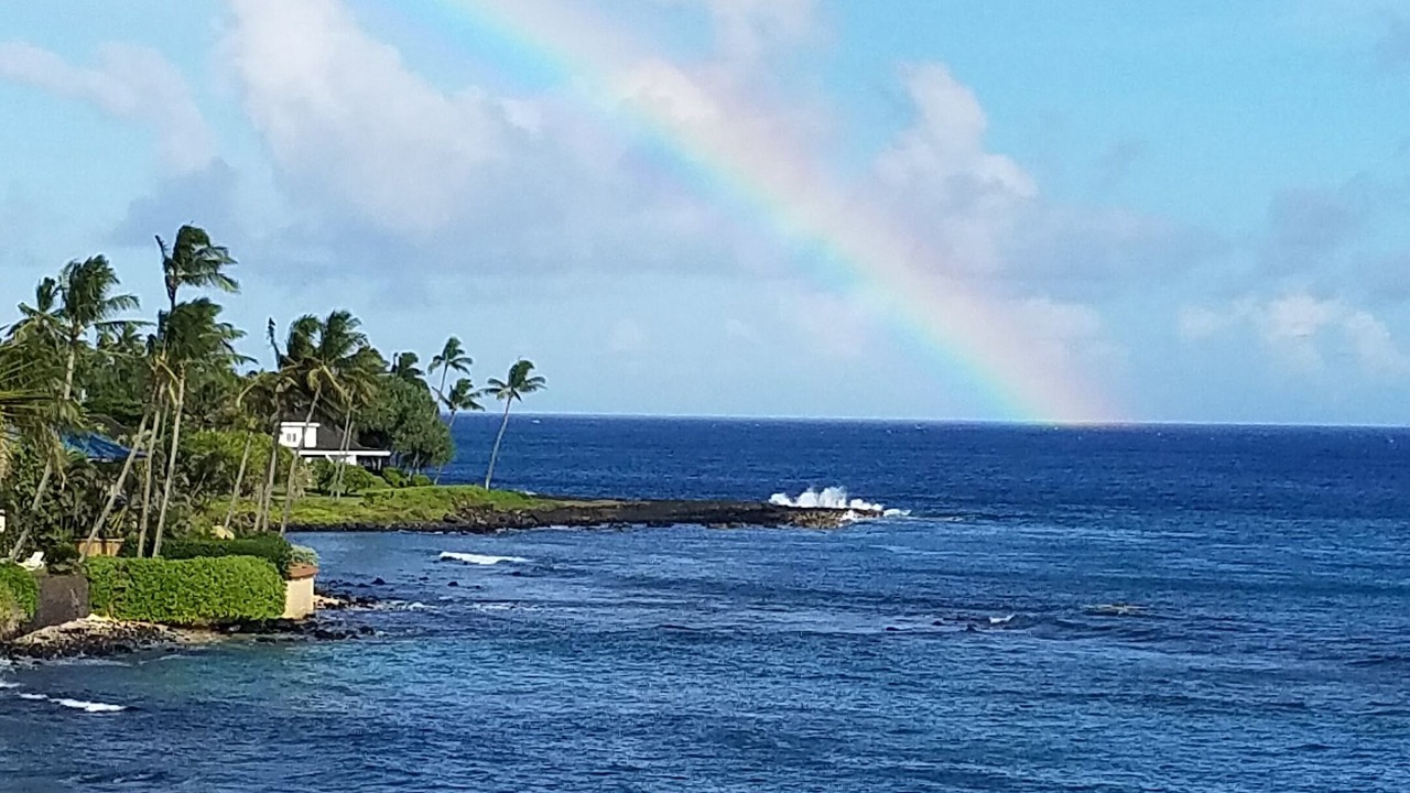 Photo of Others in Poipu