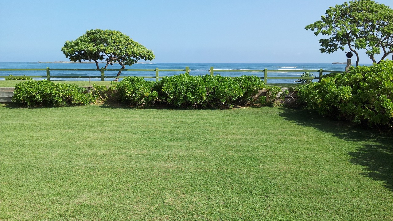 Photo of Others in Laie